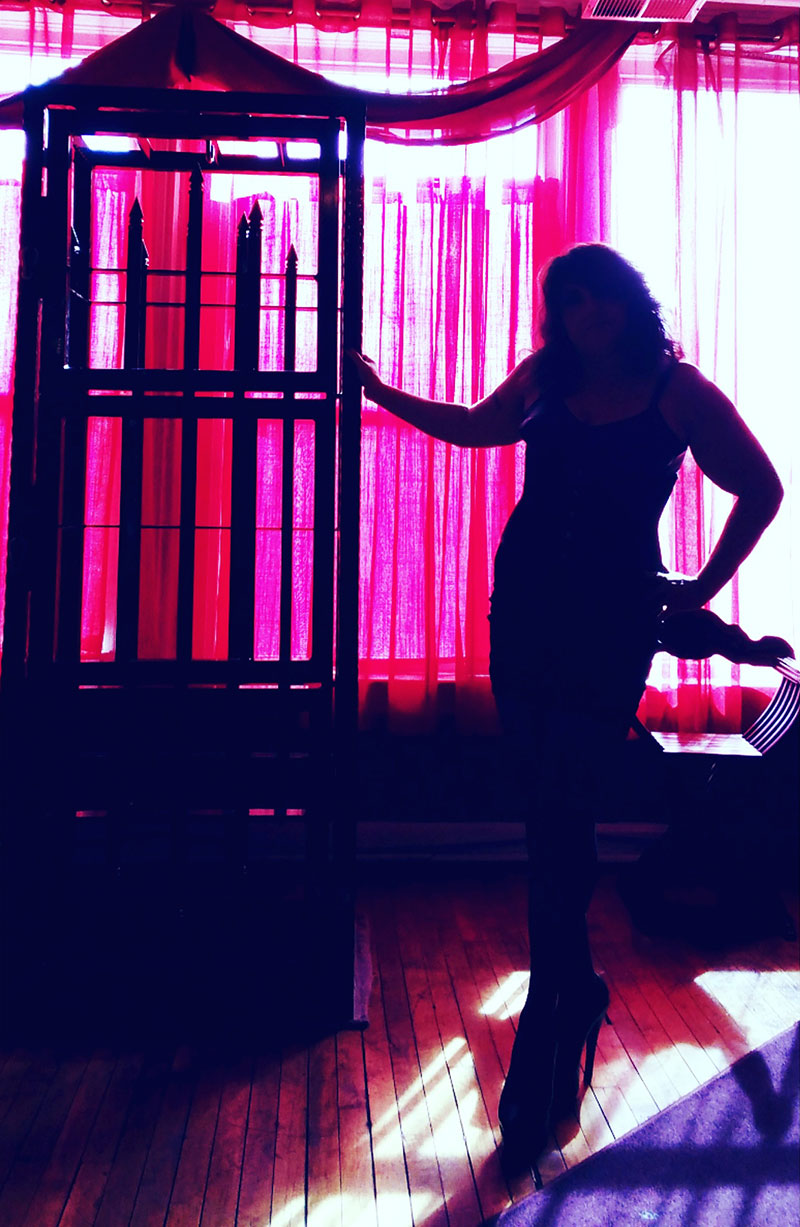 dominatrix sillhouette in Chicago domination dungeon