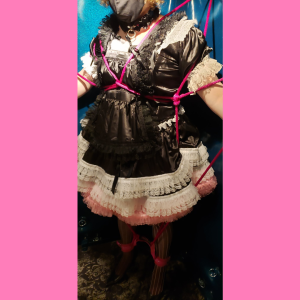 Sissy maid in satin in Saint Louis dungeon